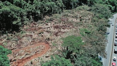Anegación de carretera, atribuida a deforestación