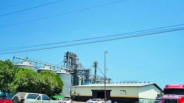 Maiceros protestarán por falta de mercado para vender el grano