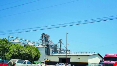 Maiceros protestarán por falta de mercado para vender el grano