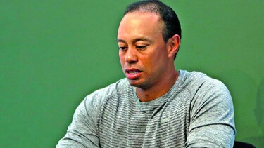 Woods admite que recibe ayuda profesional