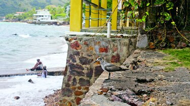 Taboga, entre senderos y mar