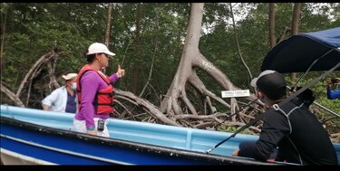 Inauguran primera fase de la Ruta del Manglar en Isla Cañas