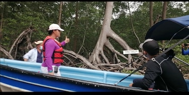 Inauguran primera fase de la Ruta del Manglar en Isla Cañas