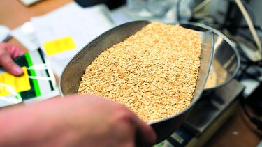 Bayer planea ventas de activos de semillas