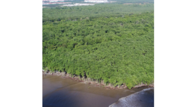 Sala Tercera suspende Estudio de Impacto Ambiental de proyecto cerca a reserva  