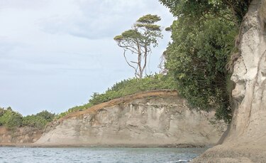 Aceleran acreditación de uso de suelo en reservas 