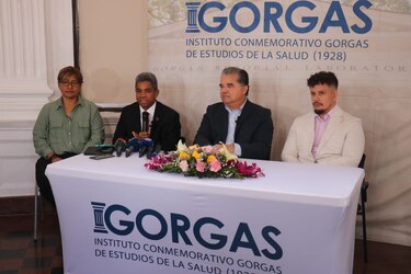 Oropouche: infección similar al dengue, ¿cepa proveniente de Italia, Cuba o Brasil?