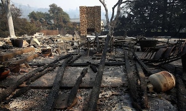 Incendios arrasan con la región vinícola de California y dejan al menos 15 muertos