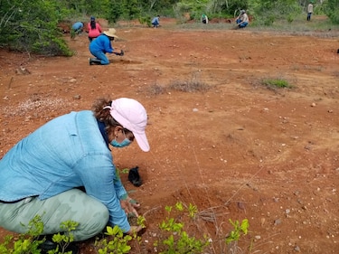 El 80% del parque nacional Sarigua está deforestado