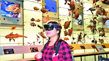 La tecnología llega al museo