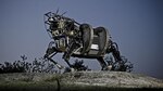 Robots: útiles, inteligentes y sensibles