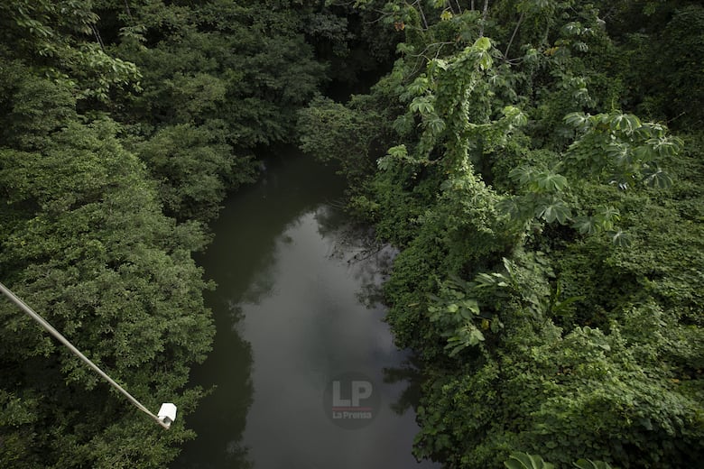 ¿Qué sucede dentro de la mina de Donoso?