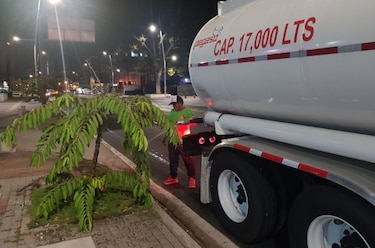 Alcaldía de Panamá inicia programa de riegos nocturnos de las áreas verdes