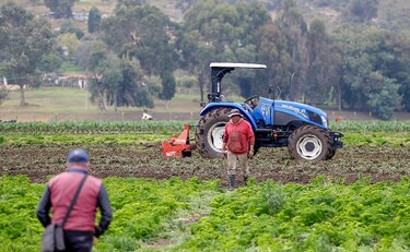 Desempleo urbano en Colombia cae al 14.8% en enero