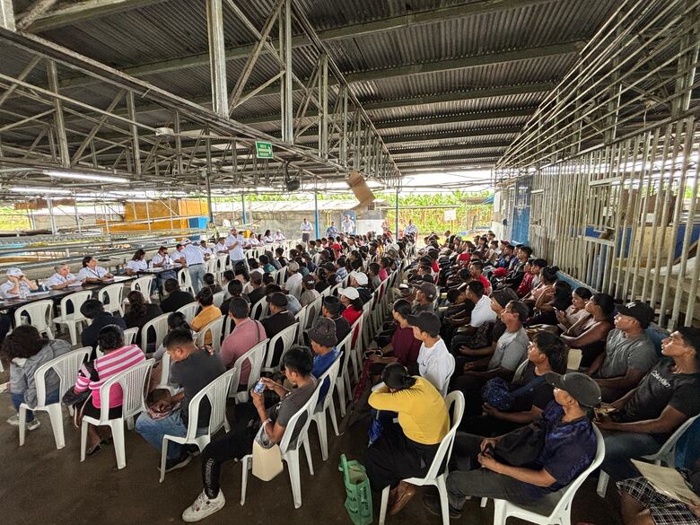 Sobrepasan las 1,600 personas interesadas en trabajar con Chiquita en Bocas del Toro