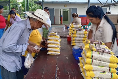 Le inyectan $22.1 millones al presupuesto del IMA para que compre 500 mil quintales de arroz y alimentos 