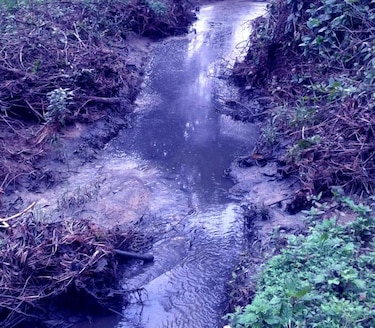 Denuncian contaminación del afluente El Barrero de Macaracas
