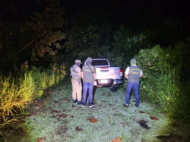 Recuperan 37 vehículos robados en la frontera con Costa Rica 