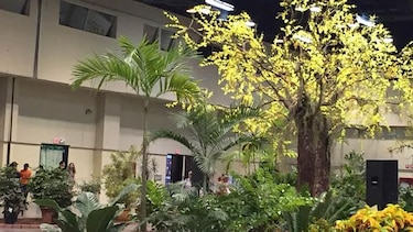 Horticultura y diseño en 'Expoflora' termina hoy en Atlapa