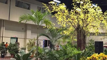 Horticultura y diseño en 'Expoflora' termina hoy en Atlapa