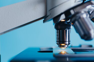 Mujeres y niñas en la ciencia: una deuda pendiente