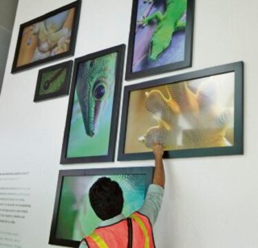 Los científicos y el Biomuseo