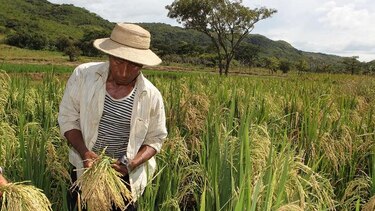 Amplían financiamiento al agro