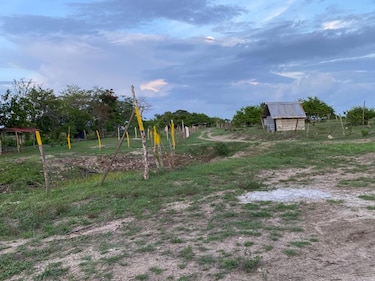 Ministerio de Ambiente detecta a funcionarios del MOP en invasión de área protegida