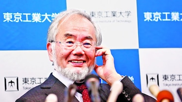 Reconocen labor de científico japonés