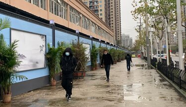 Misión internacional que investigará el origen de la Covid-19 viajará a China en enero próximo