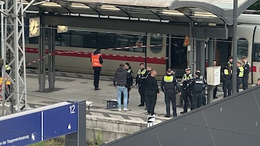Al menos 17 heridos tras ser atacados por una mujer con un cuchillo en Hamburgo