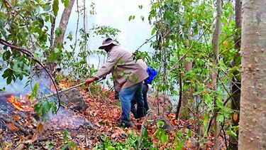 Solicitan ayuda a EU para apagar incendio