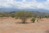 El Niño apunta a ser uno de los más intensos desde 1950