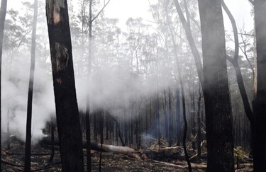La lluvia da un respiro en los incendios en Australia