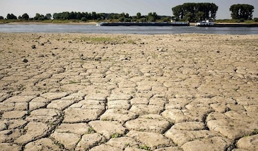 Calentamiento del suelo agrava cambio climático