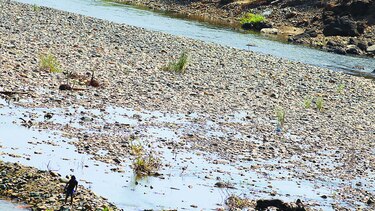 Apoyan la creación del Consejo Nacional del Agua