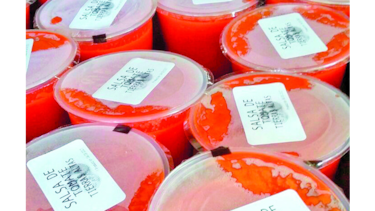 Procesan tomate en Chiriquí