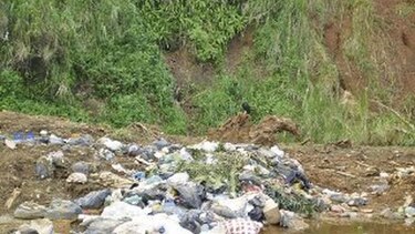 Critican basureros ilegales en Portobelo