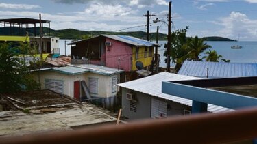 Entre semillas y corales, Puerto Rico busca recuperarse