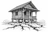 La madera y el bambú: alternativas para la construcción antisísmica