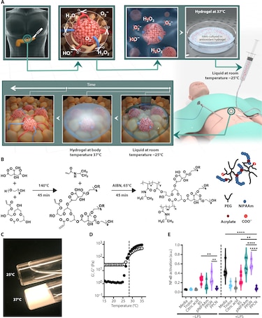 Científico panameño desarrolla biomaterial para combatir la pancreatitis crónica