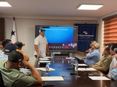 Productores rechazan importación de arroz y alertan sobre posible contrabando