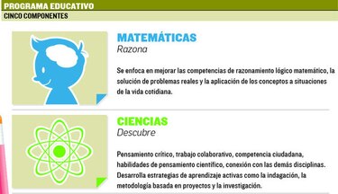 Leer, escribir y comprender, los desafíos de la educación