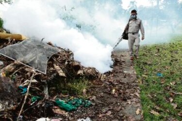 Salen a combatir el mosquito