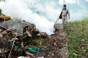 Salen a combatir el mosquito