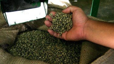 Café panameño  cautiva a europeos