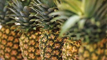 Exportaciones de bienes marcan tendencia al alza