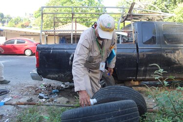 Dengue e influenza en aumento en Panamá: Lo que debe saber para prevenirlos