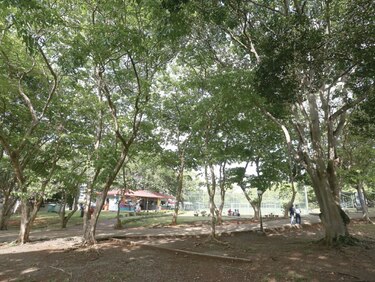 Primera dama revela proyectos para el parque Omar