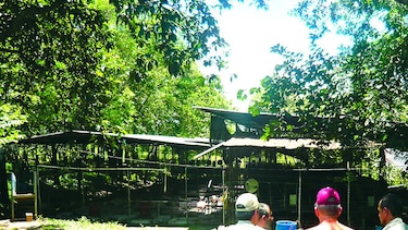 En Macaracas ordenan reubicación de dos porquerizas